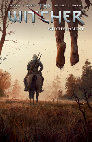 Book cover for The Witcher Volume 6: Witch's Lament