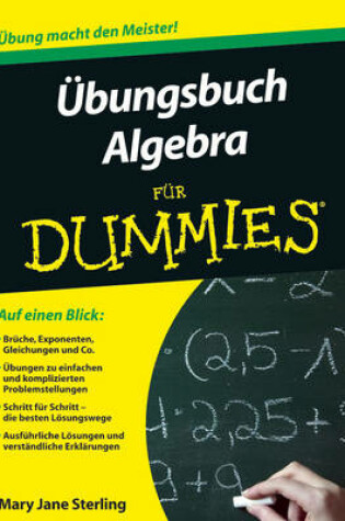 Cover of Ubungsbuch Algebra fur Dummies