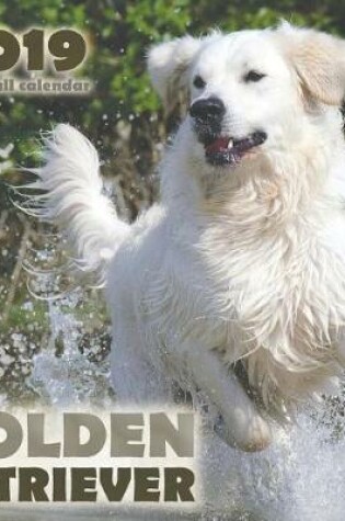 Cover of Golden Retriever 2019 Mini Wall Calendar