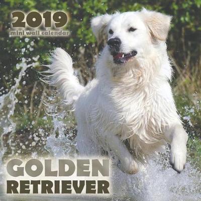 Book cover for Golden Retriever 2019 Mini Wall Calendar