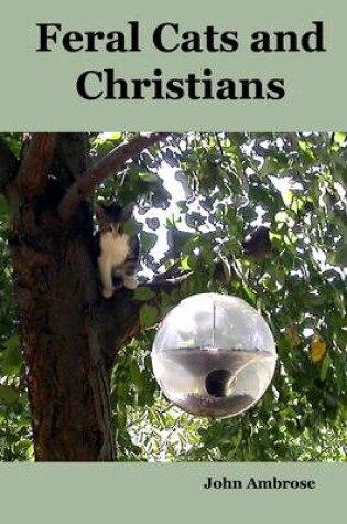 Cover of Feral Cats and Christians