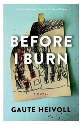 Cover of Before I Burn