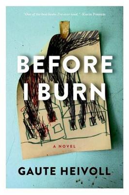 Book cover for Before I Burn