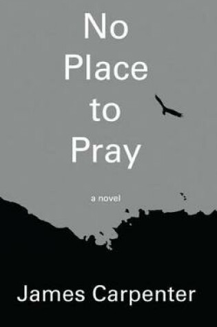 Cover of No Place to Pray