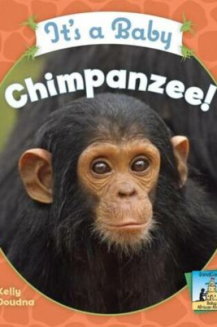 Cover of It's a Baby Chimpanzee!