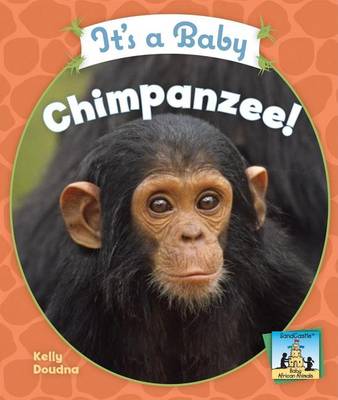 Cover of It's a Baby Chimpanzee!