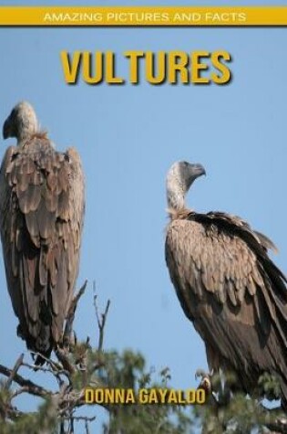 Cover of Vultures