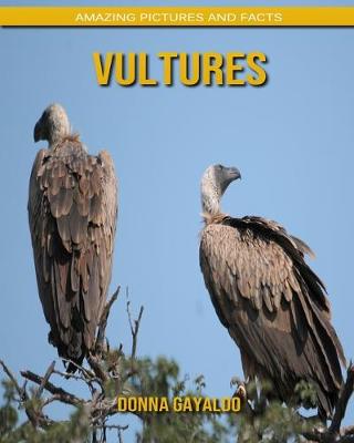 Book cover for Vultures