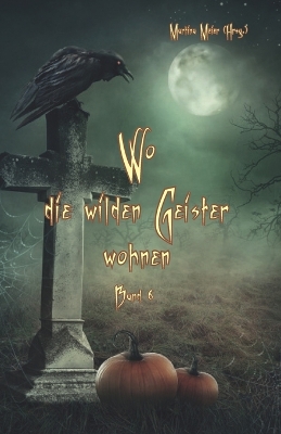 Book cover for Wo die wilden Geister wohnen Band 6