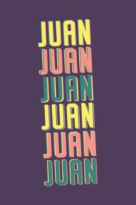 Book cover for Juan Journal