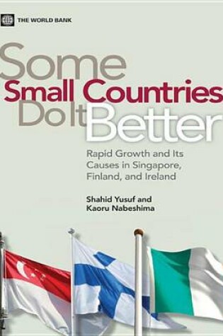 Cover of Some Small Countries Do It Better