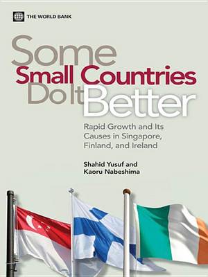 Book cover for Some Small Countries Do It Better