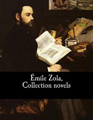 Book cover for Emile Zola, Collection novels