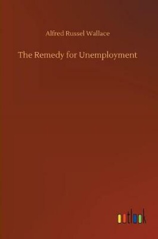 Cover of The Remedy for Unemployment