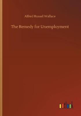 Book cover for The Remedy for Unemployment