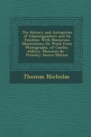 Cover of The History and Antiquities of Glamorganshire and Its Families