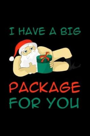 Cover of I Havve A Big Package for you