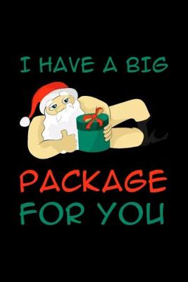 Book cover for I Havve A Big Package for you