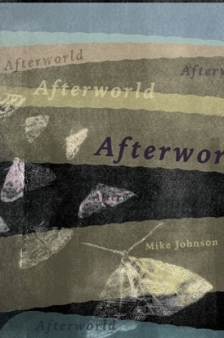 Cover of Afterworld