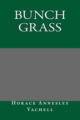 Book cover for Bunch Grass