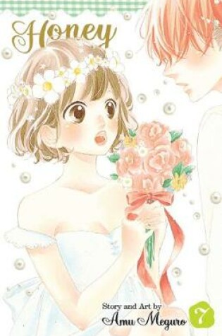 Cover of Honey So Sweet, Vol. 7