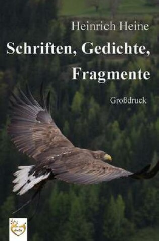 Cover of Schriften, Gedichte, Fragmente (Gro druck)