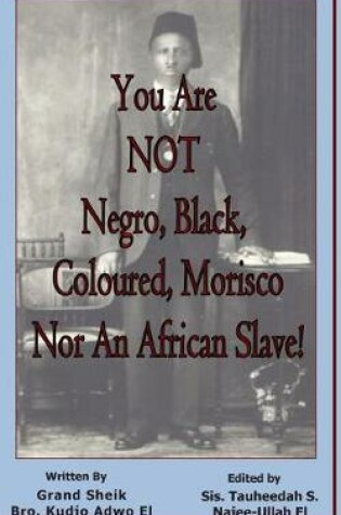 Cover of You Are NOT Negro, Black, Coloured, Morisco Nor An African Slave!