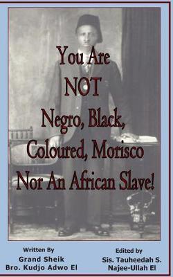 Book cover for You Are NOT Negro, Black, Coloured, Morisco Nor An African Slave!