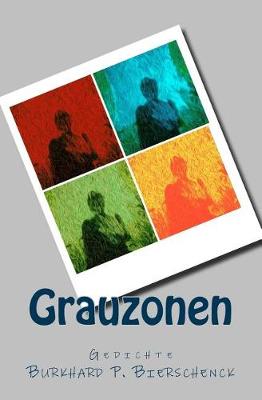 Cover of Grauzonen