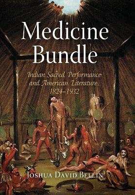 Book cover for Medicine Bundle