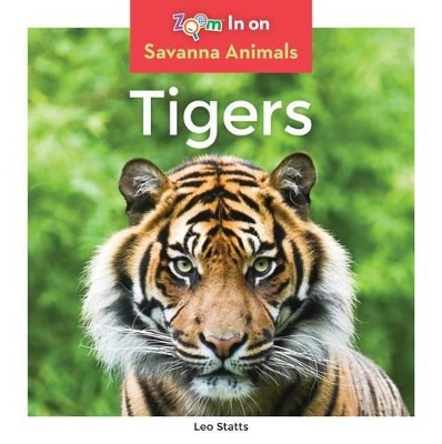 Book cover for Tigers