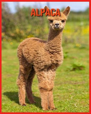 Book cover for Alpaca