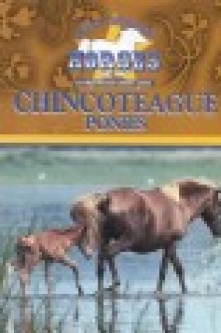 Cover of Chincoteague Ponies