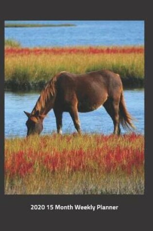 Cover of Plan On It 2020 Weekly Calendar Planner - Wild Horse On The River Marsh