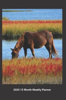 Book cover for Plan On It 2020 Weekly Calendar Planner - Wild Horse On The River Marsh