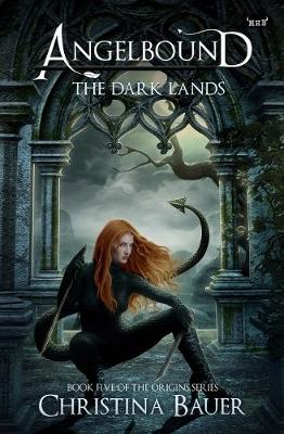 Cover of The Dark Lands