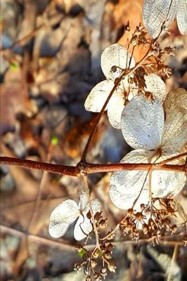 Book cover for 2020 Weekly Planner 134 Dry Hydrangea Flowers 134 Pages