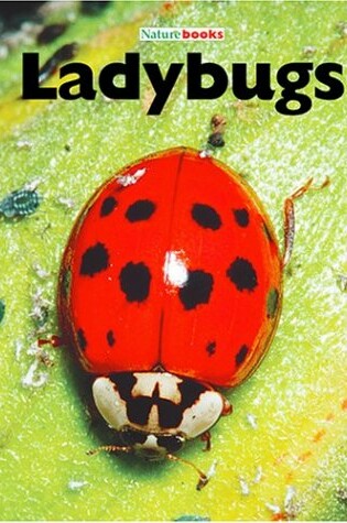 Cover of Ladybugs