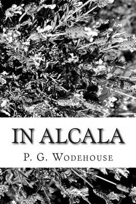 Book cover for In Alcala