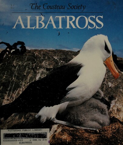 Book cover for Albatross