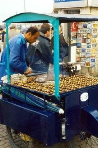 Cover of Roasted Chestnut Vendor in Istanbul, Turkey Journal