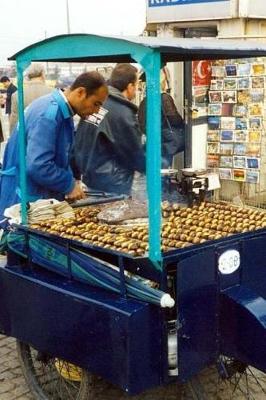 Book cover for Roasted Chestnut Vendor in Istanbul, Turkey Journal