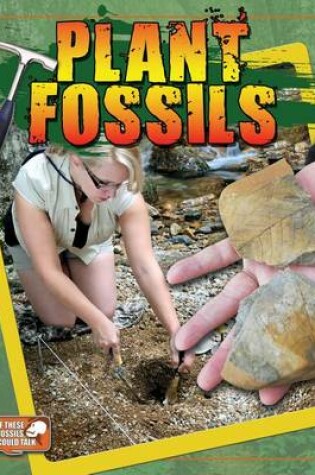 Cover of Plant Fossils