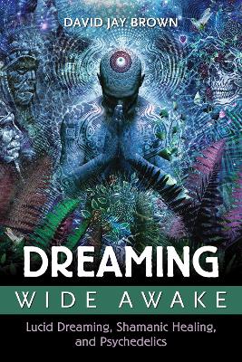 Book cover for Dreaming Wide Awake