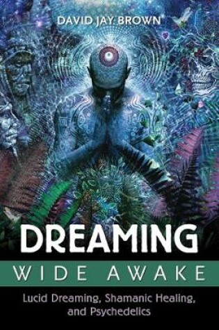 Cover of Dreaming Wide Awake