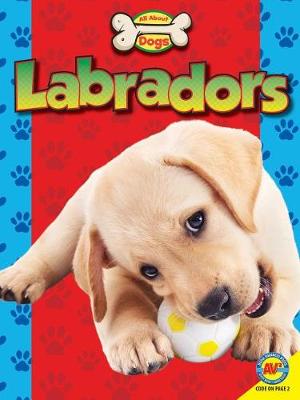 Book cover for Labradors
