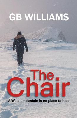 Book cover for The Chair