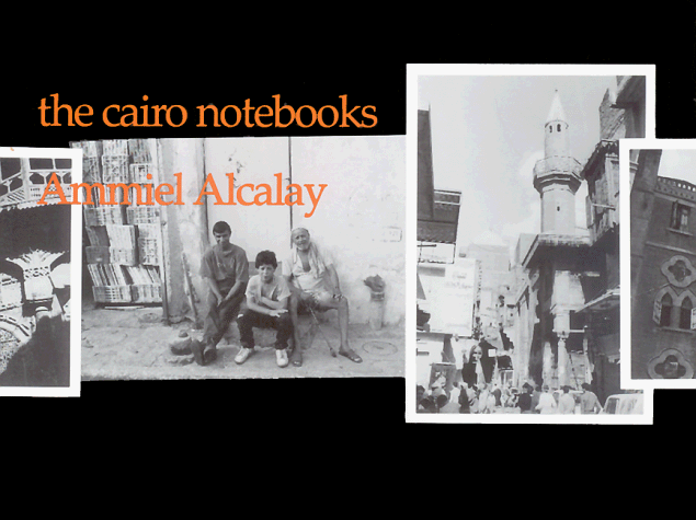 Book cover for The Cairo Notebooks