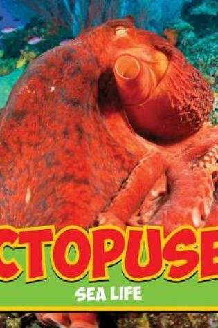 Cover of Octopuses