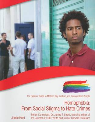 Book cover for Homophobia